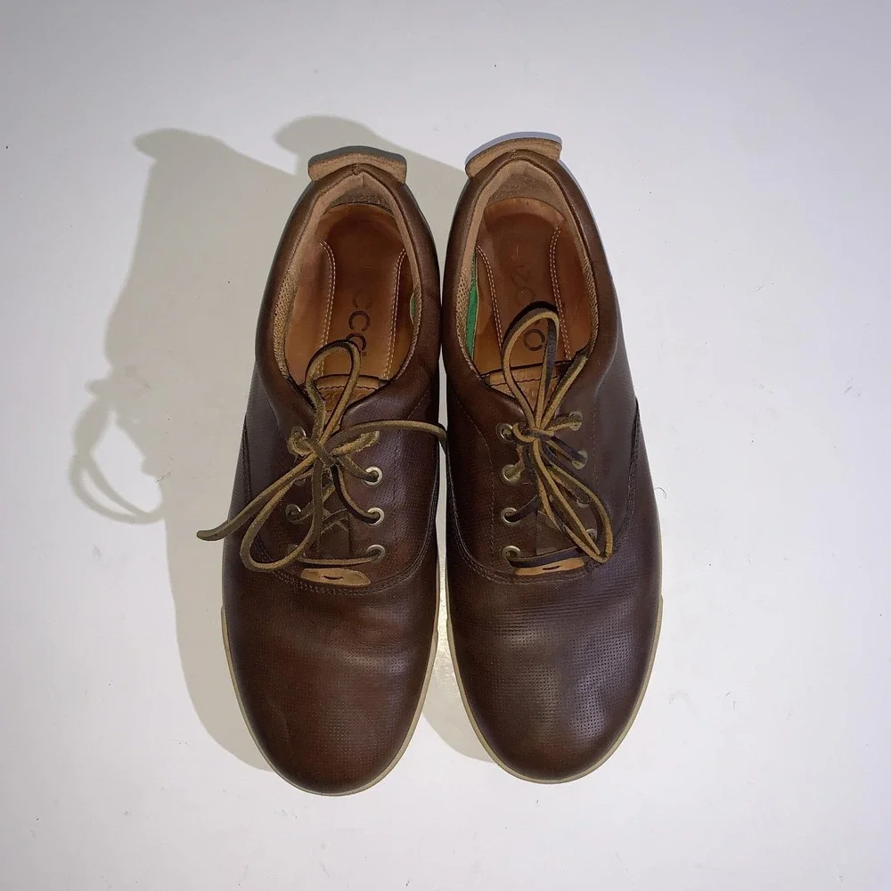 Ecco shoes mens